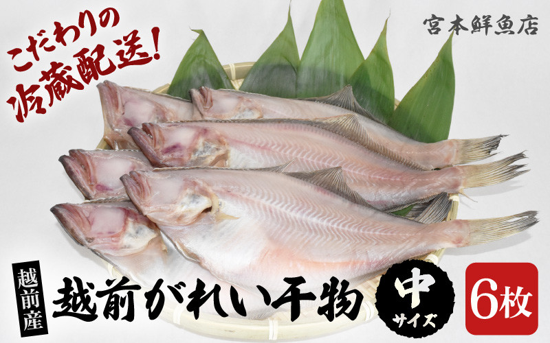 
            【先行予約】 冷蔵配送！ 越前産 赤かれい 干物 中サイズ 6枚 【2025年9月より順次発送】 添加物不使用 産地直送！こだわり一夜干し 調理しやすい【魚介 ひもの 干物 赤ガレイ かれい干物 カレイひもの 人気 お取り寄せ グルメ】 [e43-a003]
          
