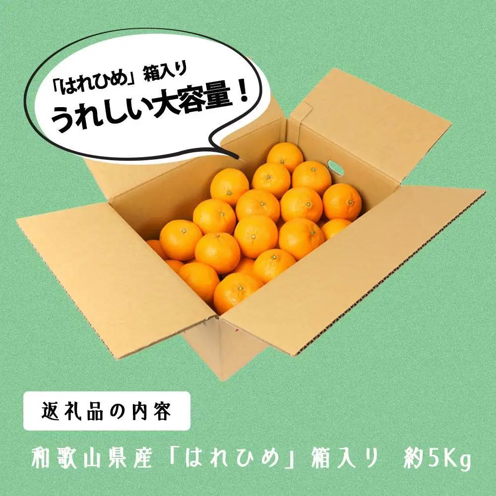 はれひめ（ミカンの希少種） 秀品  約5ｋｇ（25個～30個入）［先行予約］［2026年12月中旬頃から発送］［KG3］