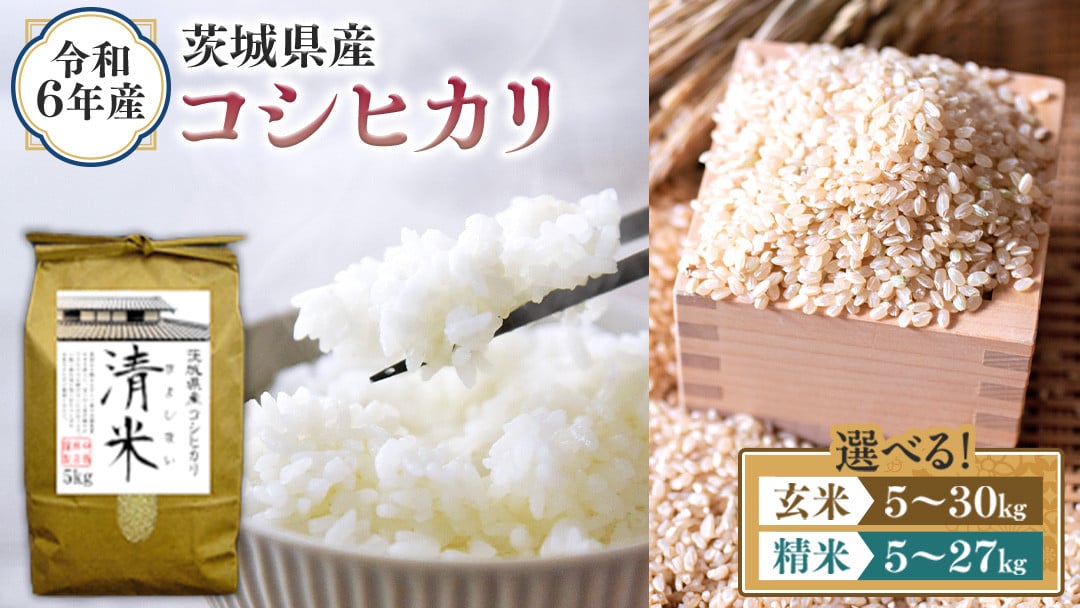 
            ＼ 選べる内容量 ／ 令和6年産 茨城県産 コシヒカリ （精米 5kg・10kg・27kg / 玄米 5kg・10kg・30kg） 白米 清米 キヨシマイ こしひかり 米 コメ こめ 単一米 限定 茨城県産 国産 美味しい お米 おこめ おコメ
          