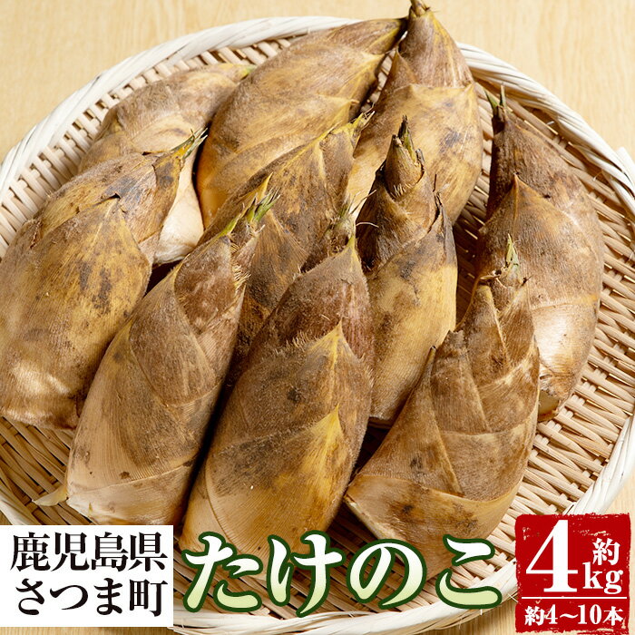【ふるさと納税】《期間限定》鹿児島県産たけのこ(4kg・約4～10本) 産地直送 筍 タケノコ 国産 煮物 炊き込みご飯 【弐番屋】