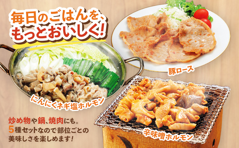 【古今東北】 丸森町大槻ファーム 豚肉5種類セット(計1.2kg） 丸森町 古今東北 大槻ファーム 豚肉セット 1.2kg SPF豚 しもふりレッド　焼き肉 豚しゃぶ 生姜焼き 味付けホルモン 辛味噌