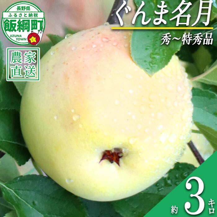 【ふるさと納税】 りんご ぐんま名月 秀 〜 特秀 3kg 丸山りんご園 沖縄県への配送不可 令和8年度収穫分 長野県 飯綱町 〔 信州 果物 フルーツ リンゴ 林檎 長野 14000円 予約 農家直送 〕発送時期：2026年11月上旬〜2026年12月上旬 {***}