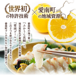 【真鯛】 刺身 柵 真鯛 500g