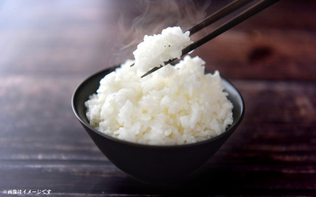 《6回定期便》神代米（コシヒカリ）　精白米　10kg ／ 米 こめ コメ ごはん ご飯 コシヒカリ こしひかり 令和7年産 新米 精米 10kg 定期便 送料無料