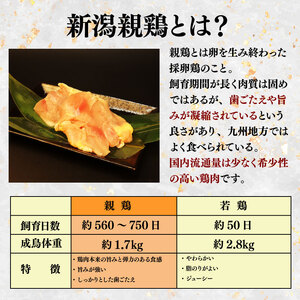 親鶏 むね肉 2.4kg 200g × 12 パック 鶏肉 鶏 チキン タンパク むね 胸 肉 とり 鳥肉 精肉 ブランド鶏 鍋 汁物 郷土食 新潟親鶏 新潟産 新発田産 マルコ岩村 新潟県 新発田市