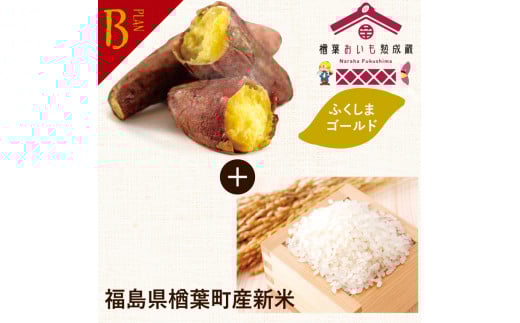＜早割B＞2026年度おいも株オーナー制度1口セット ふくしまゴールド2.4kg＋楢葉町産新米2kg【芋 さつまいも 米 新米 福島県産 福島 ふくしまゴールド 株 オーナー おいも 株オーナー 産地直送 楢葉町  楢葉 セット】
