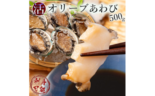 オリーブアワビ約500g(5個入り前後)×6