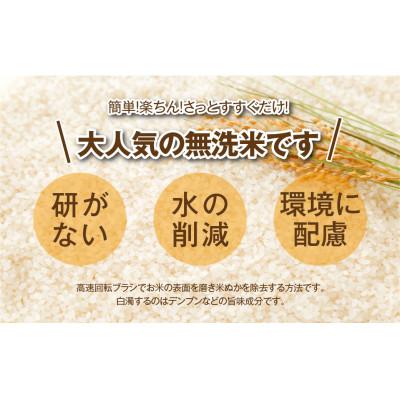 ふるさと納税 田村市 福島県田村産　これぞ理想のお米! 【無洗米】銀米工房10kg(5kg×2袋)【令和7年産】 |  | 01