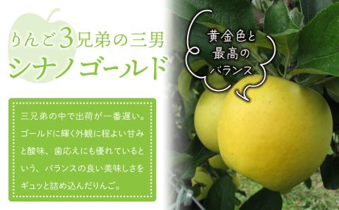 東御市産りんご　長野県オリジナル品種「シナノゴールド」3kg ※10月中旬～順次発送予定