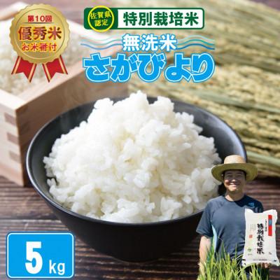 ふるさと納税 小城市 令和7年産 特別栽培米 無洗米 さがびより(5kg)【2024 お米番付「優秀賞」!佐賀県認定】