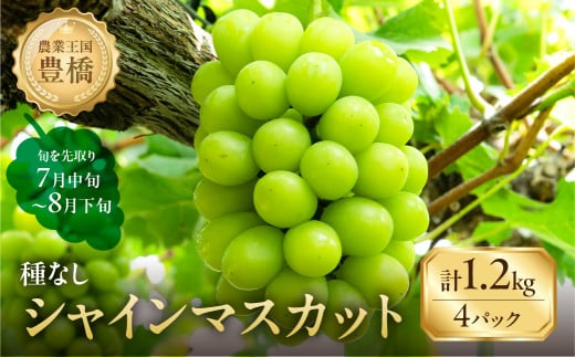≪先行予約 2026年発送≫ たっぷり1.2kg 豊橋産 皮ごと 種なし シャインマスカット300ｇ×4 ブドウ ぶどう マスカット フルーツ 甘い 1.2キロ 果物 豊橋市 愛知県  旬 食べ比べ 高級 希少 贈答 贈り物