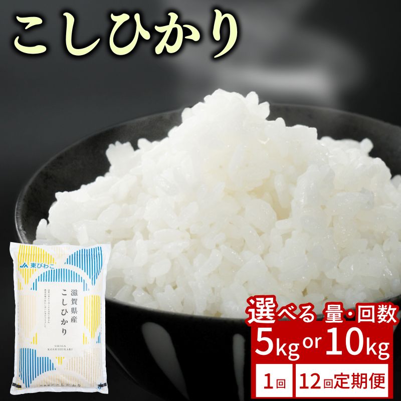 【ふるさと納税】 こしひかり 5kg 10kg 単品 / 12ヶ月定期便 令和7年産 米 精米 こめ コメ お米 コシヒカリ ご飯 5キロ 10キロ 令和7年 12回定期便 定期便 ふるさと納税米 ふるさと納税米定期便 滋賀 彦根 【1月～2月発送】