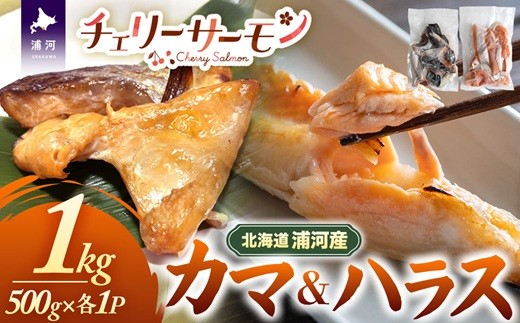 
                  北海道日高産「チェリーサーモン」カマ＆ハラス(各500g)セット[01-1542]
                