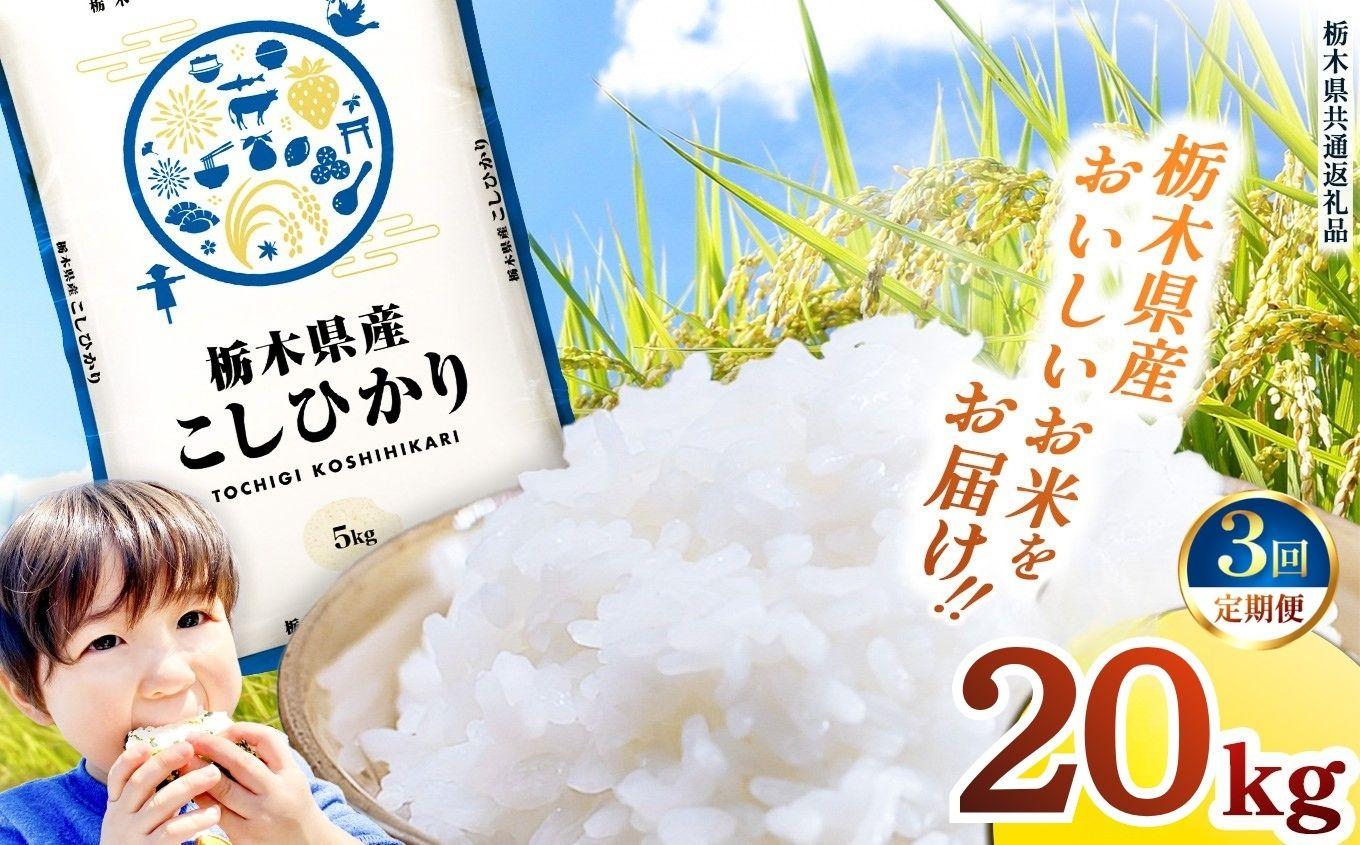 【定期便3回】栃木県産 お米 こしひかり 20kg |  栃木県 矢板市 【栃木県共通返礼品】