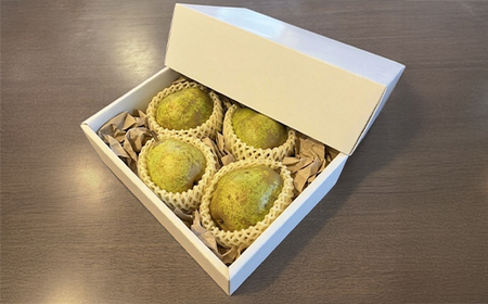 先行予約 ラ・フランス 秀品 約1kg(2~4個程度) 11月上旬~下旬頃発送  令和8年産 2026年産 sb-lasyx1-b