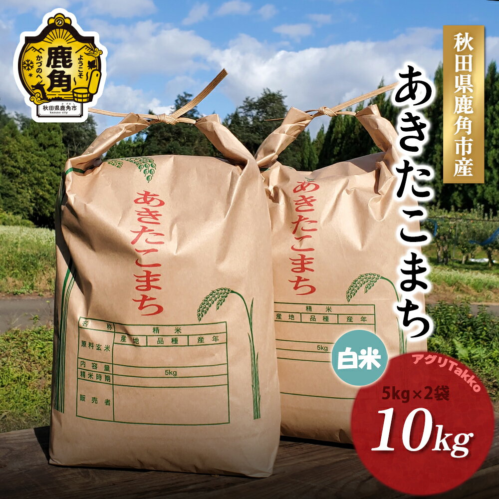 【ふるさと納税】《 先行予約 》 米 令和7年産 秋田県産 あきたこまち 精米 10kg ( 5kg × 2袋 ) お米 ご飯 ごはん 精米 県産 国産 お中元 お歳暮 お取り寄せ グルメ ギフト 故郷 秋田 あきた 鹿角市 鹿角 送料無料 【アグリTakko】