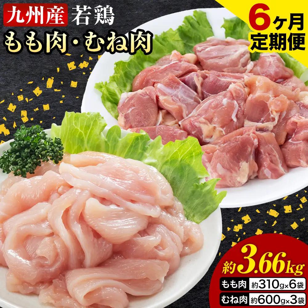 【6ヶ月定期便】 九州産若鶏もも肉（310g×6袋）・むね肉（600g×3袋）セット  鶏肉 お肉 モモ肉 もも肉 ムネ肉 むね肉 2種類 小分け 冷凍 九州産 国産 熊本県 菊池市 送料無料《お申込み翌月から出荷》