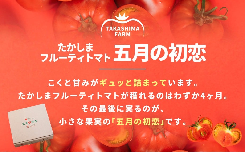 糖度9度以上 たかしまフルーティトマト 五月の初恋 約600g