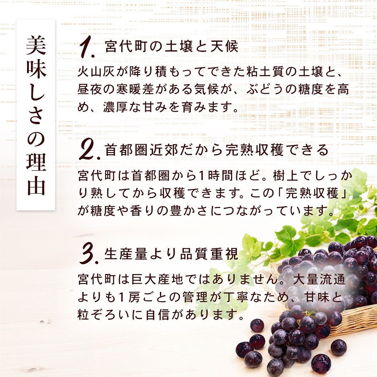 美味しさの理由（実と天候）火山灰が作り出す宮代町の土壌と天候がぶどうの糖度を高める産地ならではの濃厚な甘みの秘密
