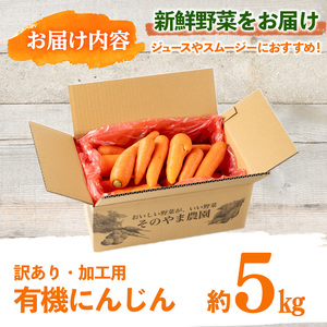 湧水町産有機にんじん5kg (訳あり) にんじん_y503