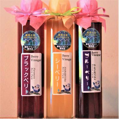 ふるさと納税 原村 八ヶ岳の大自然で育ったベリービネガー3本セット(ブラックベリー、シーベリー、ブルーベリー) |  | 01