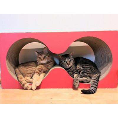 ふるさと納税 常滑市 猫の爪とぎ　メガネケース【赤】