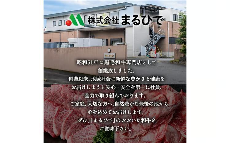  おおいた 味力 ソーセージセット(合計1.14kg・全6種)ウィンナー ベーコン 国産 冷凍 豚肉 鳥肉 とり肉 詰め合わせ 惣菜 おかず お弁当 九州産 粗挽き あらびき 大分県 佐伯市【DP68】【まるひで】