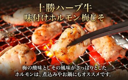 北海道 十勝ハーブ牛 味付けホルモン 梅じそ 200g 2パック 計400g 梅 しそ 和風 ミックスホルモン ホルモン ギアラ センマイ 国産 国産牛 ハーブ牛 牛肉 牛 お肉 肉 鍋 焼肉 冷凍 