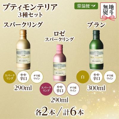 ふるさと納税 笛吹市 【熨斗】プティモンテリア 3種 飲み比べ ブラン スパークリング ロゼ 各2本計6本 山梨県笛吹市 |  | 03