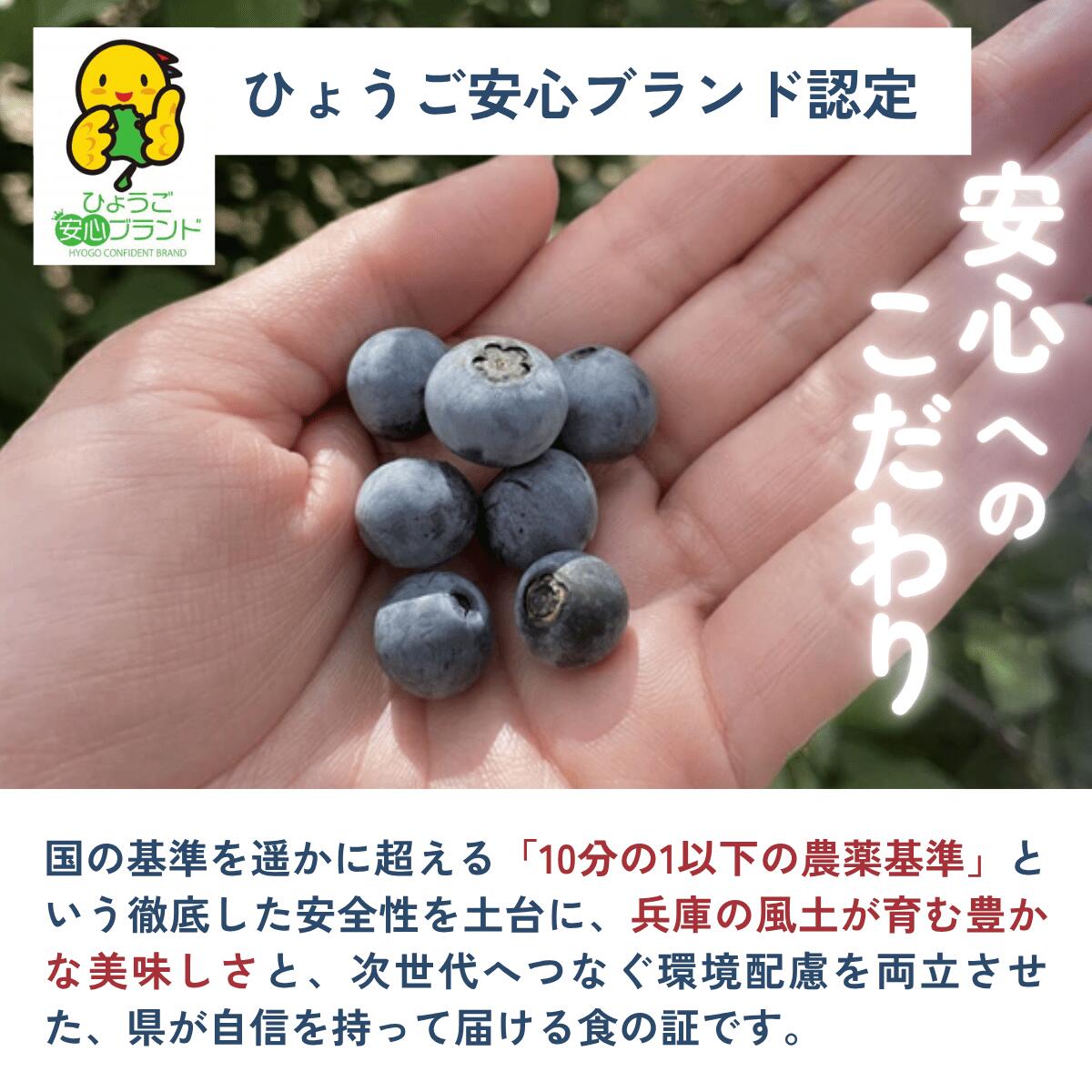 〈先行予約〉令和8年産 丹波市産 ブルーベリー 冷凍 2kg 超大粒 無農薬 有機栽培 ひょうご安心ブランド 果物 フルーツ くだもの ぶるーべりー 産地直送 お取り寄せ 兵庫県 丹波市