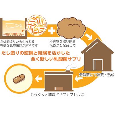 ふるさと納税 焼津市 腸活 サプリ 愛腸習慣(3袋)酵素 乳酸菌 米ぬか (a15-523) |  | 02