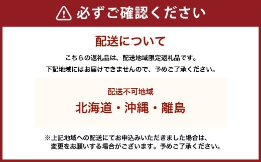 アローマメロン 小玉 1玉