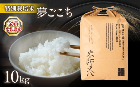 令和5年産十六代目米師又八 謹製 夢ごこち 10kg  ( 米 夢ごこち 精米 夢ごこち 白米 夢ごこち 令和5年産 夢ごこち  産地直送 夢ごこち 農家直送 夢ごこち 国産 夢ごこち 特別栽培米 夢