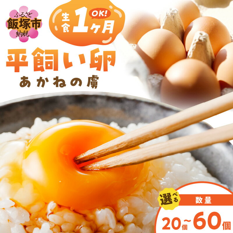 【ふるさと納税】＼個数が選べる！／〈平飼い卵〉あかねの虜 20個〜　 飯塚市 たまご 20個 30個 40個 60個 平飼い 福岡 TKG たまごかけ 卵 玉子 卵焼き オムレツ 卵かけごはん 卵料理 生卵 鶏卵 ふるさと納税 卵