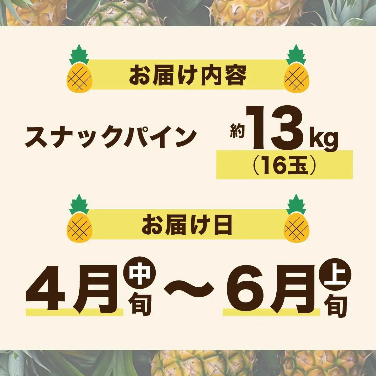 【2027年 先行予約】スナックパイン 約13kg