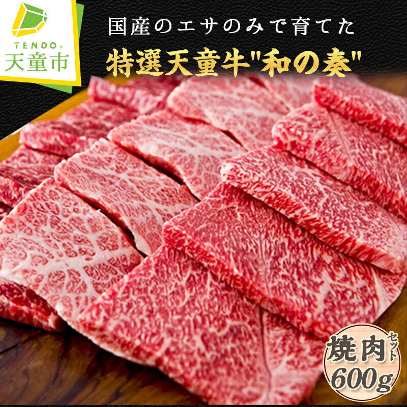 国産のエサのみで育てた特選天童牛"和の奏"焼肉セット500g【山形県 天童市】