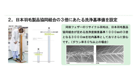 羽毛布団 綺麗なリサイクルダウン 羽毛布団 シングル 掛け布団 肌掛け布団 羽毛 日本製 冬 毛布 保温 あったかい 抗菌 防臭 広島県福山市/株式会社ハシモト[BACV020]