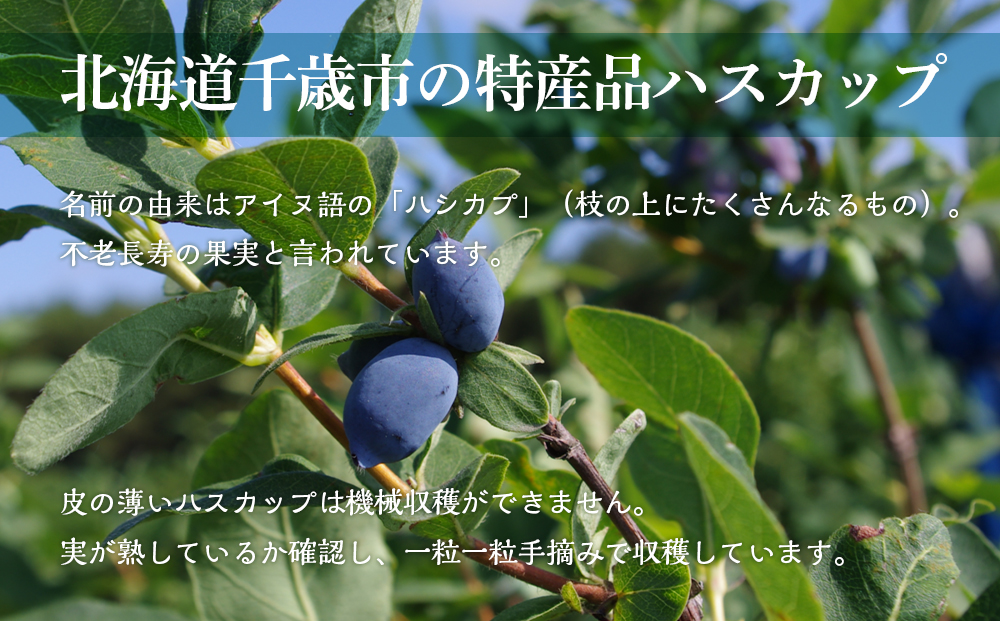 ハスカップスイート360ml×6本