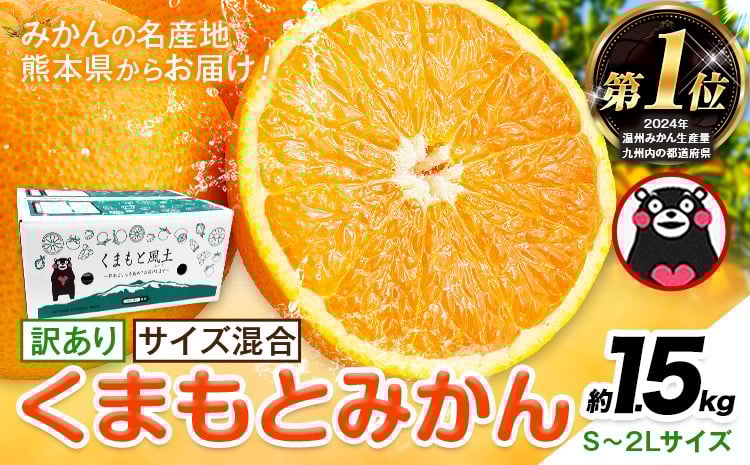 
            みかん 訳あり くまもとみかん 約1.5kg S-2Lサイズ サイズ混合 ご家庭用《7-14日以内に出荷予定(土日祝除く)》 訳あり みかん フルーツ サイズ混合 秋 旬 柑橘 熊本県 長洲町 熊本県産 長洲町産含む
          