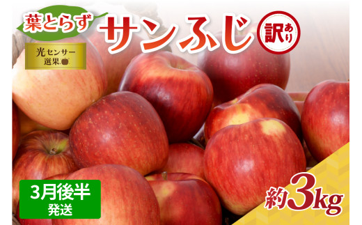 【2026年3月後半発送】【訳あり】青森県産葉とらずサンふじりんご約3kg