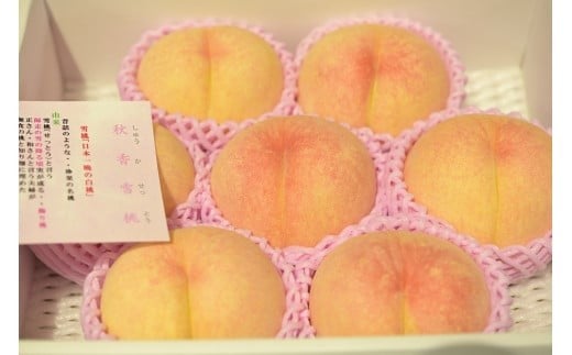 
                  08-07-006　もも(秋香雪桃)大玉2.5kg
                