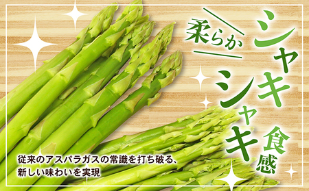 アスパラガス【さぬきのめざめ】夏芽Mサイズ900g グリーンアスパラガス 野菜 柔らかい シャキシャキ 旬の野菜 国産 食材 