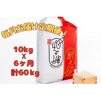 ふるさと納税 十日町市 【毎月定期便】[通年受付]魚沼産新之助 精米 10kg(5kg×2袋)全6回