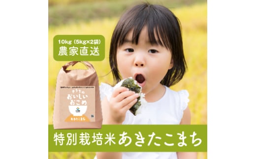【令和6年産】稲敷市産 特別栽培米 あきたこまち 10kg (5kg×2)【農家直送】｜秋田小町 米 こめ コメ ごはん ご飯 [1977]