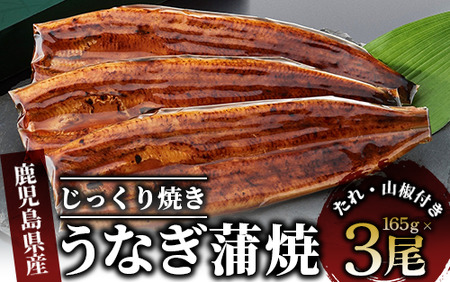 【鹿児島県産】うなぎ蒲焼じっくり焼き約165g×3尾 化粧箱入り(大新/023-1105)  うなぎ 国産 うなぎ 鹿児島 うなぎ 蒲焼 うなぎ 丑の日 うなぎ 丑 土用丑の日 うなぎ