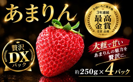 【先行予約】 いちご 選べる あまりん 約 250g × 4パック 1kg 苺 ブランド苺 フルーツ 産地直送 ご当地 果物 くだもの フルーツ ストロベリー デザート ジャム 食品 冷蔵 贈答 ギフト プレゼント 旬 itigo ichigo amarinn ロコファーム 埼玉県 羽生市