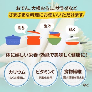 ＜2026年収穫分 先行予約＞大崎だいこん 1箱 10kg |野菜 10キロ だいこん