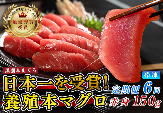 まぐろ マグロ 本鮪 黒潮本まぐろ 赤身 定期便 6回 150g × 6回 刺身 さしみ 最優秀賞 全国養殖クロマグロ品評会 受賞 魚 魚介類 海鮮 柵 サク 冷凍 お取り寄せ 産地直送 ギフト 贈答  高知県 大月町