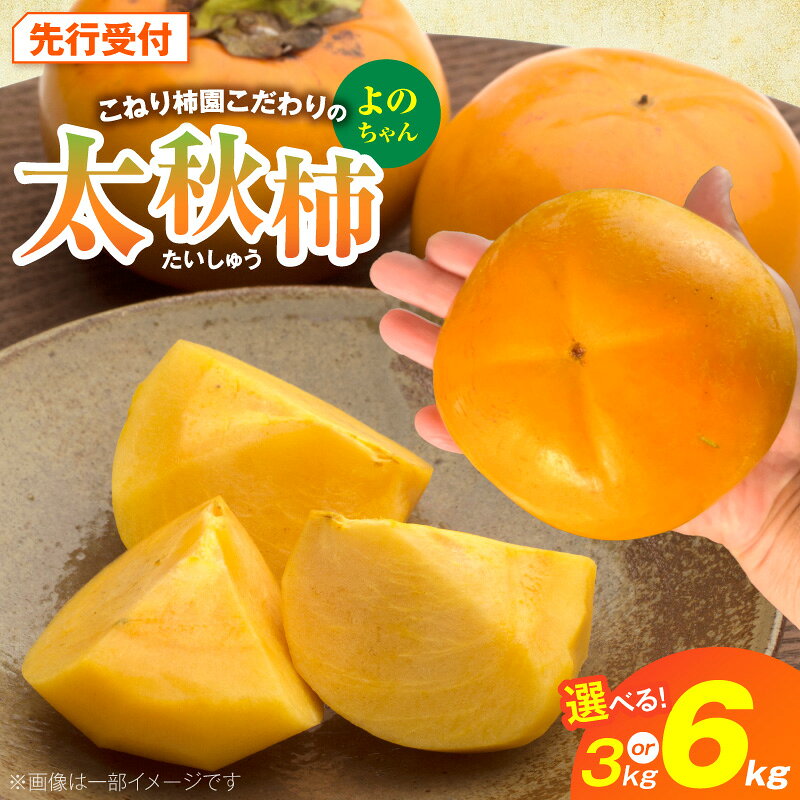 【ふるさと納税】【先行受付】 太秋柿 薄い黄緑色 四角形 条紋 高糖度 選べる 容量 3kg 6kg 柿 シャキシャキ みずみずしい 大玉 こねり柿園 甘柿 旬 よのちゃん太秋柿 フルーツ 果物 福岡県 上毛町 送料無料