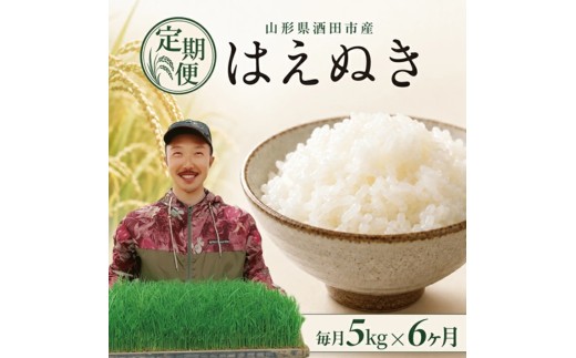 【令和8年産 新米予約】≪6回定期便≫ 【精米】はえぬき　5kg×6回(計30kg)　「農家直送」 IN SF0375